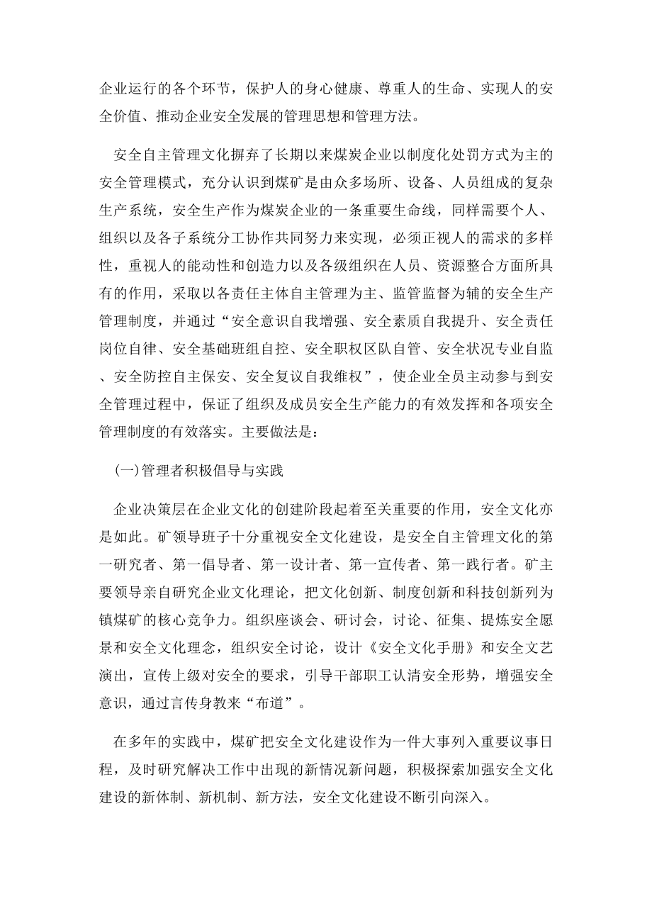 安全自主管理介绍.docx_第3页