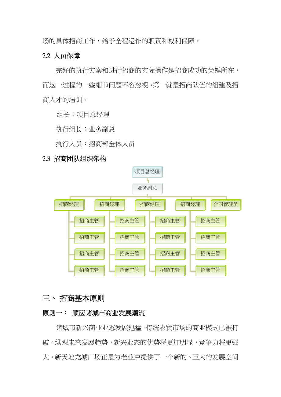 山东潍坊新天地龙城广场招商方案及执行计划(36页).doc_第2页