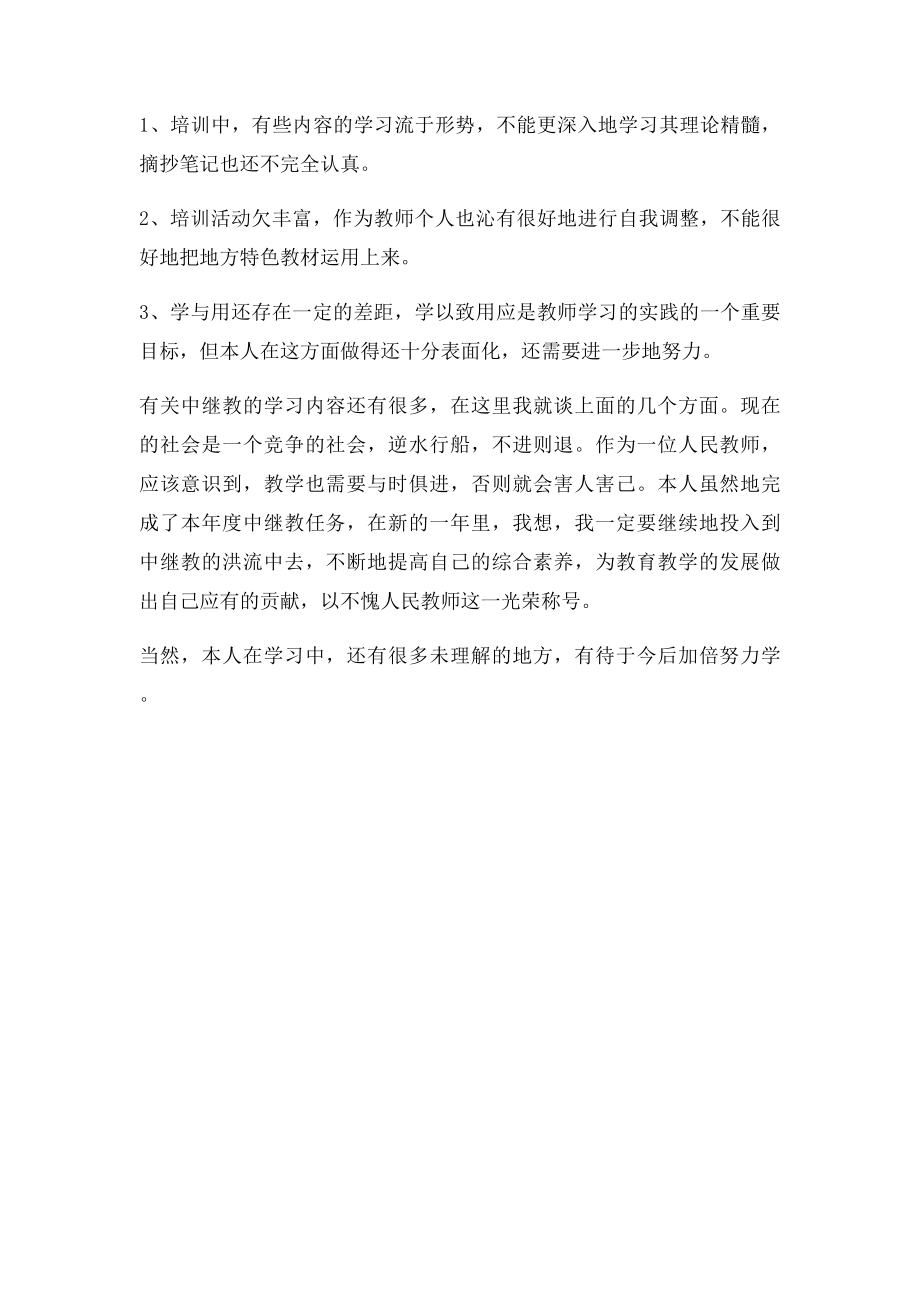 教师中继教学习总结.docx_第2页