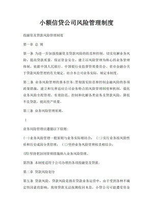 小额信贷公司风险管理制度.docx