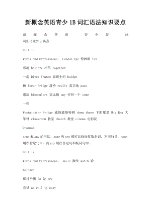 新概念英语青少1B词汇语法知识要点.docx