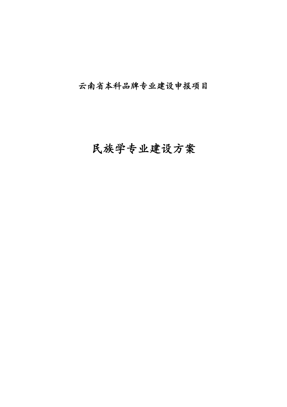 云南省本科品牌专业建设申报项目.doc_第1页