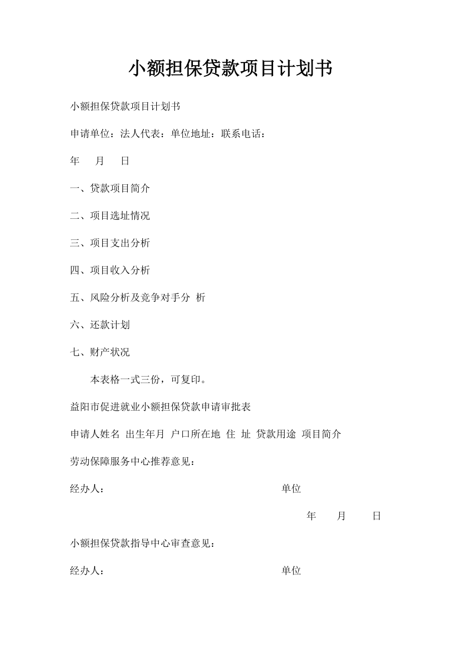 小额担保贷款项目计划书.docx_第1页