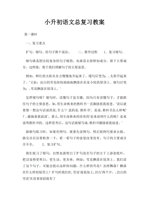 小升初语文总复习教案.docx