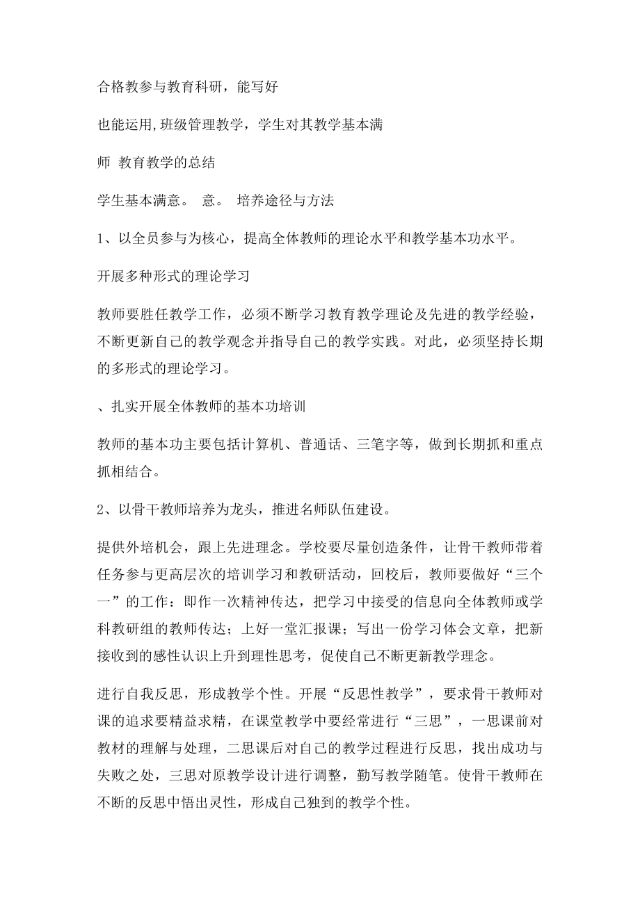 教师队伍建设规划.docx_第3页