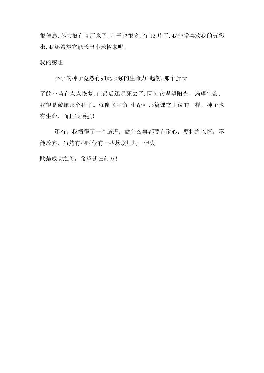 我的五彩椒生长记录以及我的感想.docx_第2页