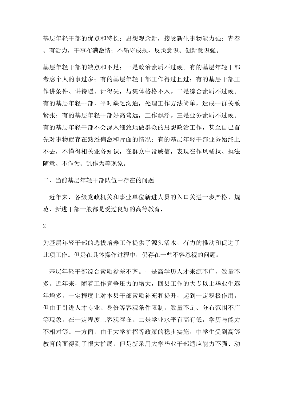 年轻干部培养及选拔任用的调查与思考.docx_第2页