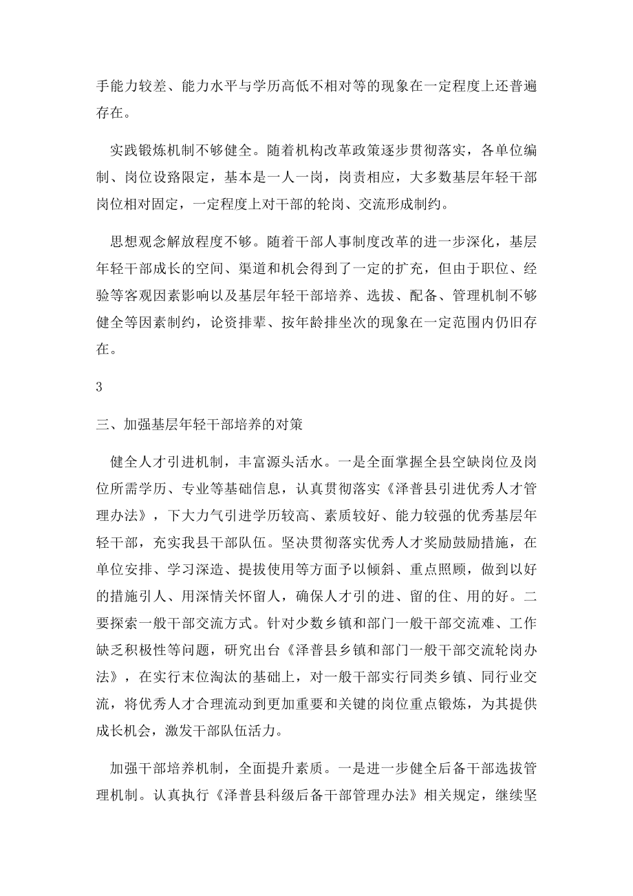 年轻干部培养及选拔任用的调查与思考.docx_第3页