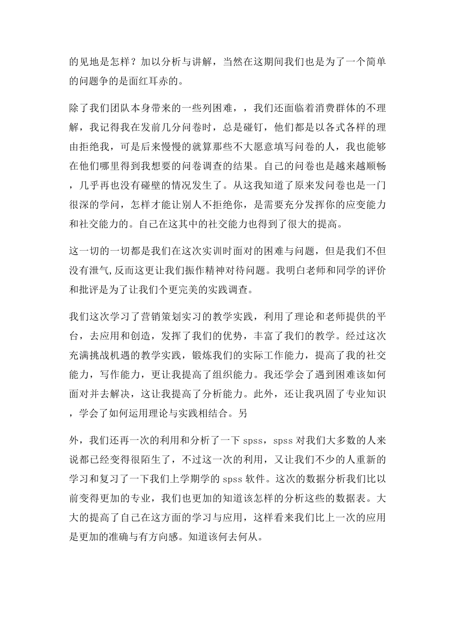 市场营销策划实习总结.docx_第2页