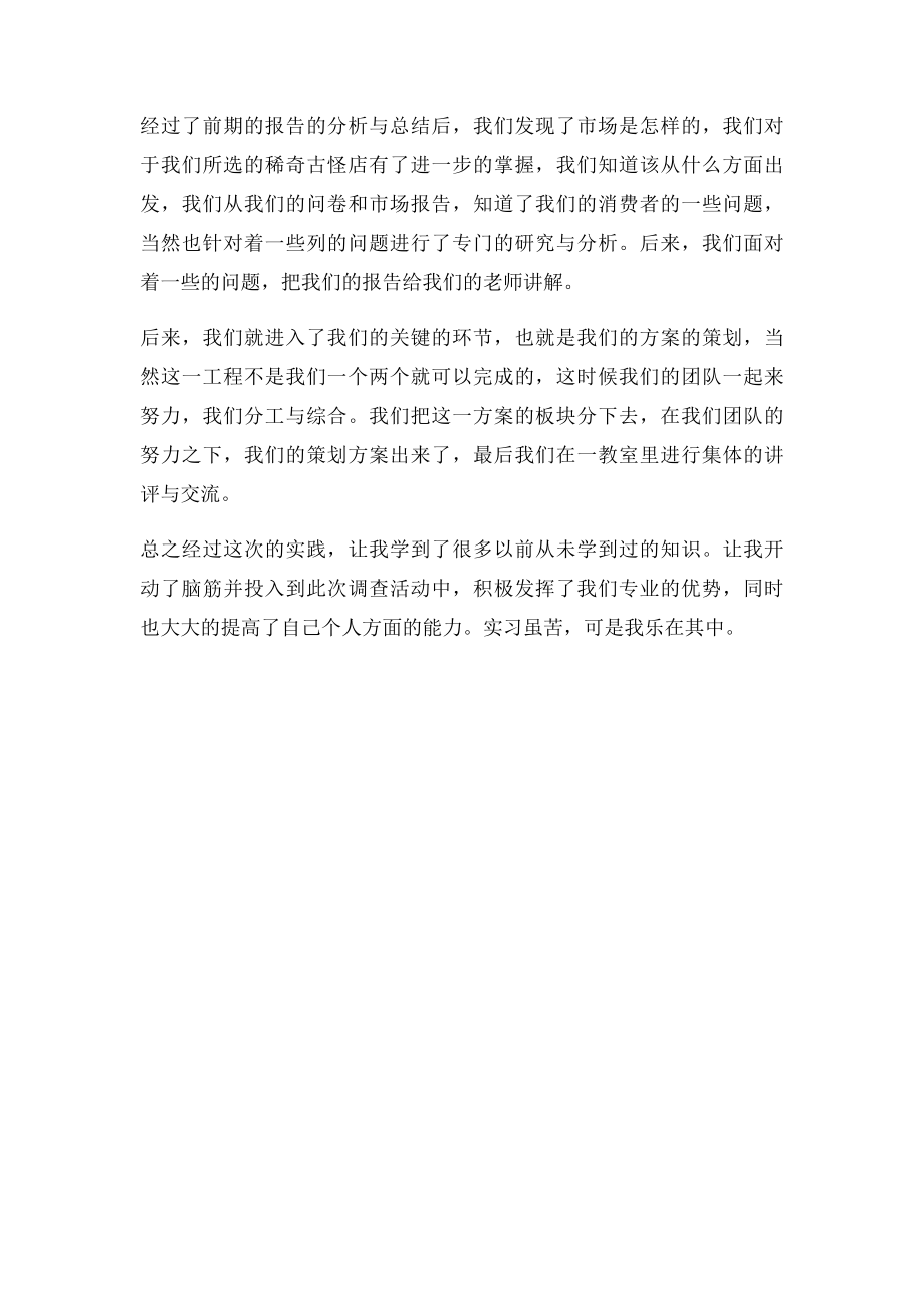 市场营销策划实习总结.docx_第3页