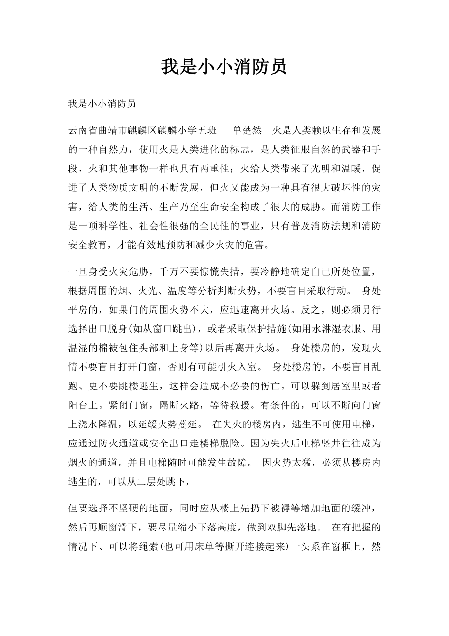 我是小小消防员(1).docx_第1页