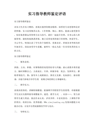 实习指导教师鉴定评语.docx