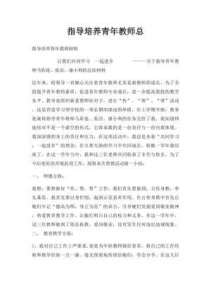 指导培养青年教师总.docx