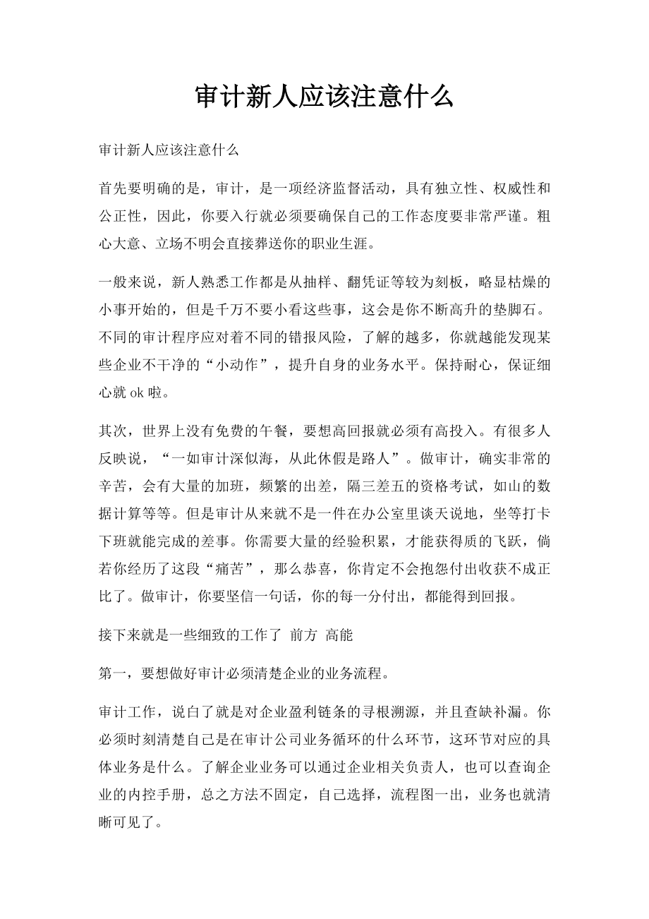 审计新人应该注意什么.docx_第1页