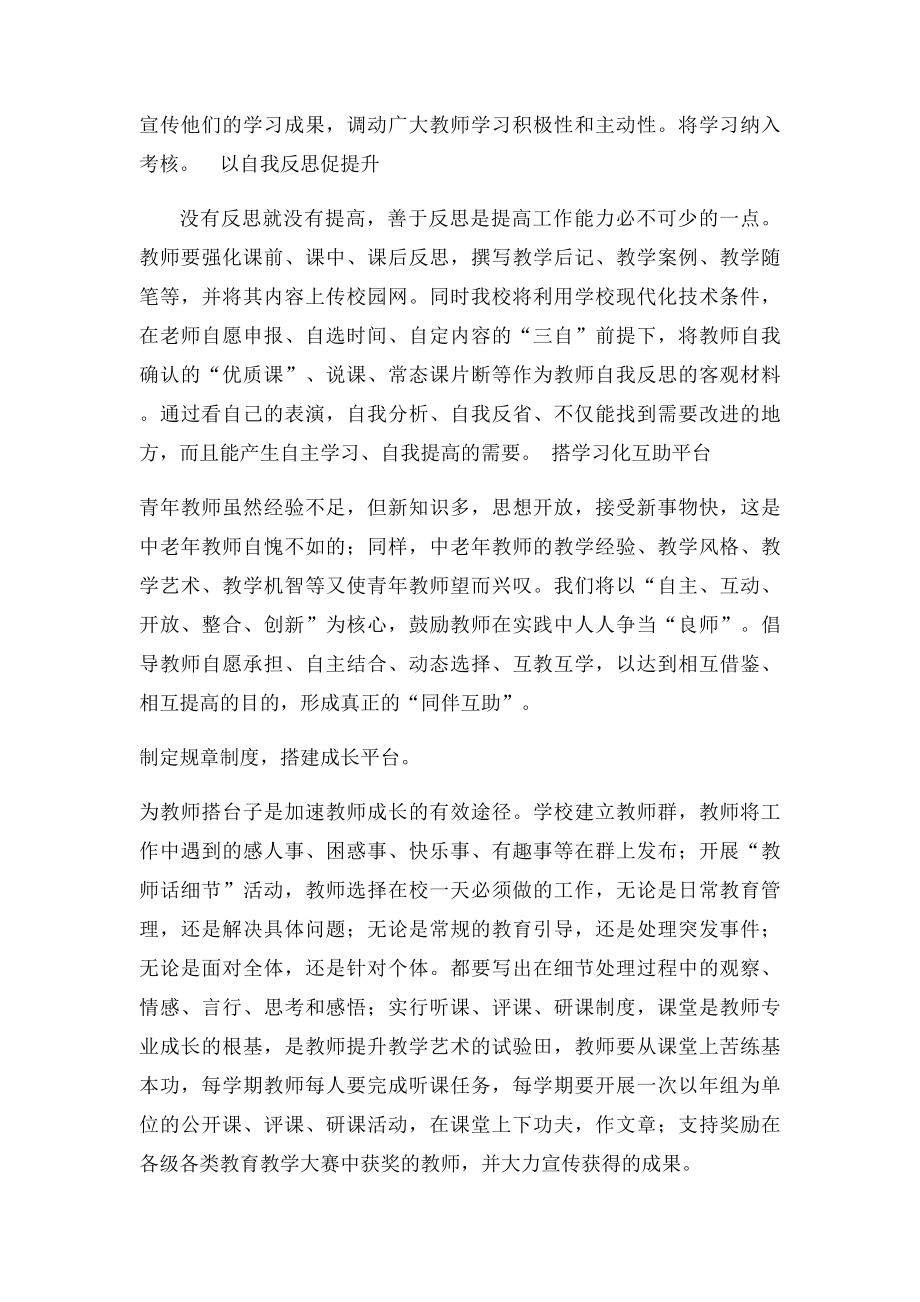 教师专业发展水平提升实施方案.docx_第3页