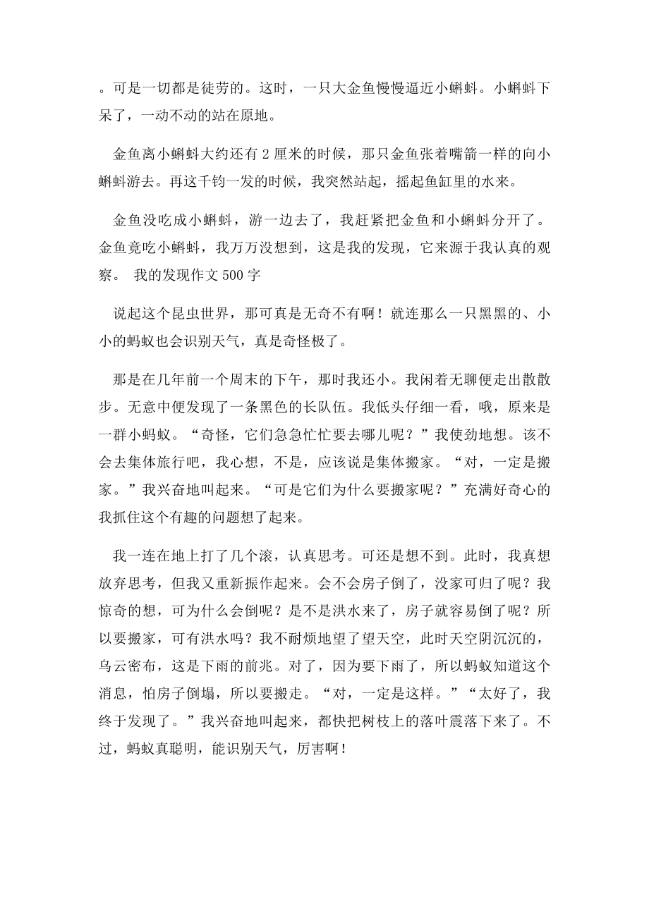 我的发现大自然启示文档.docx_第3页