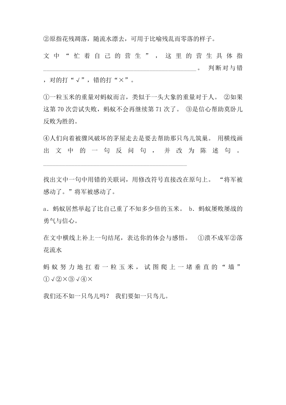 我生命的第一只猫阅读答案.docx_第3页