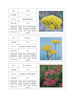 精文观赏图库1.doc