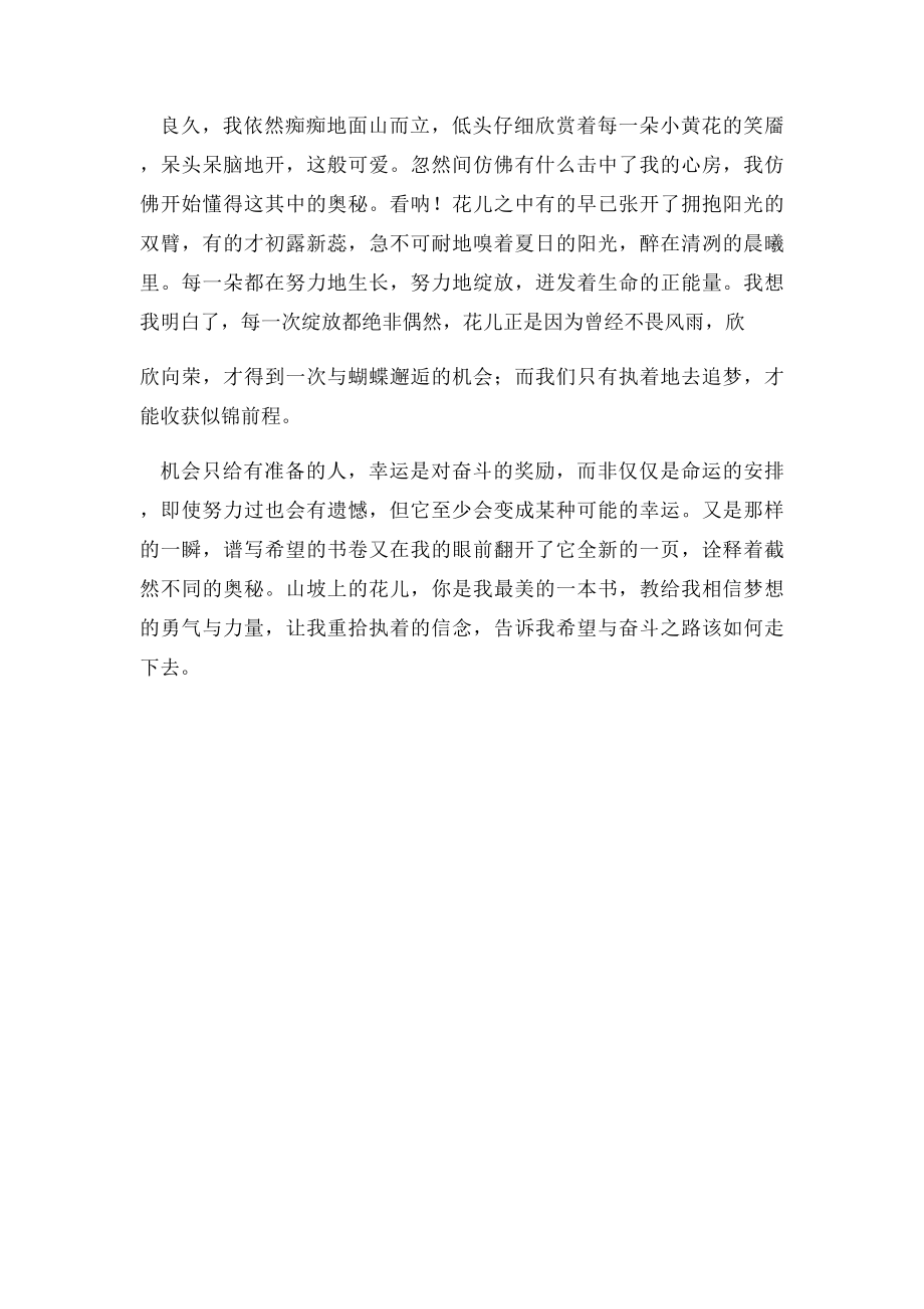 宁波中考满分作文(1).docx_第2页