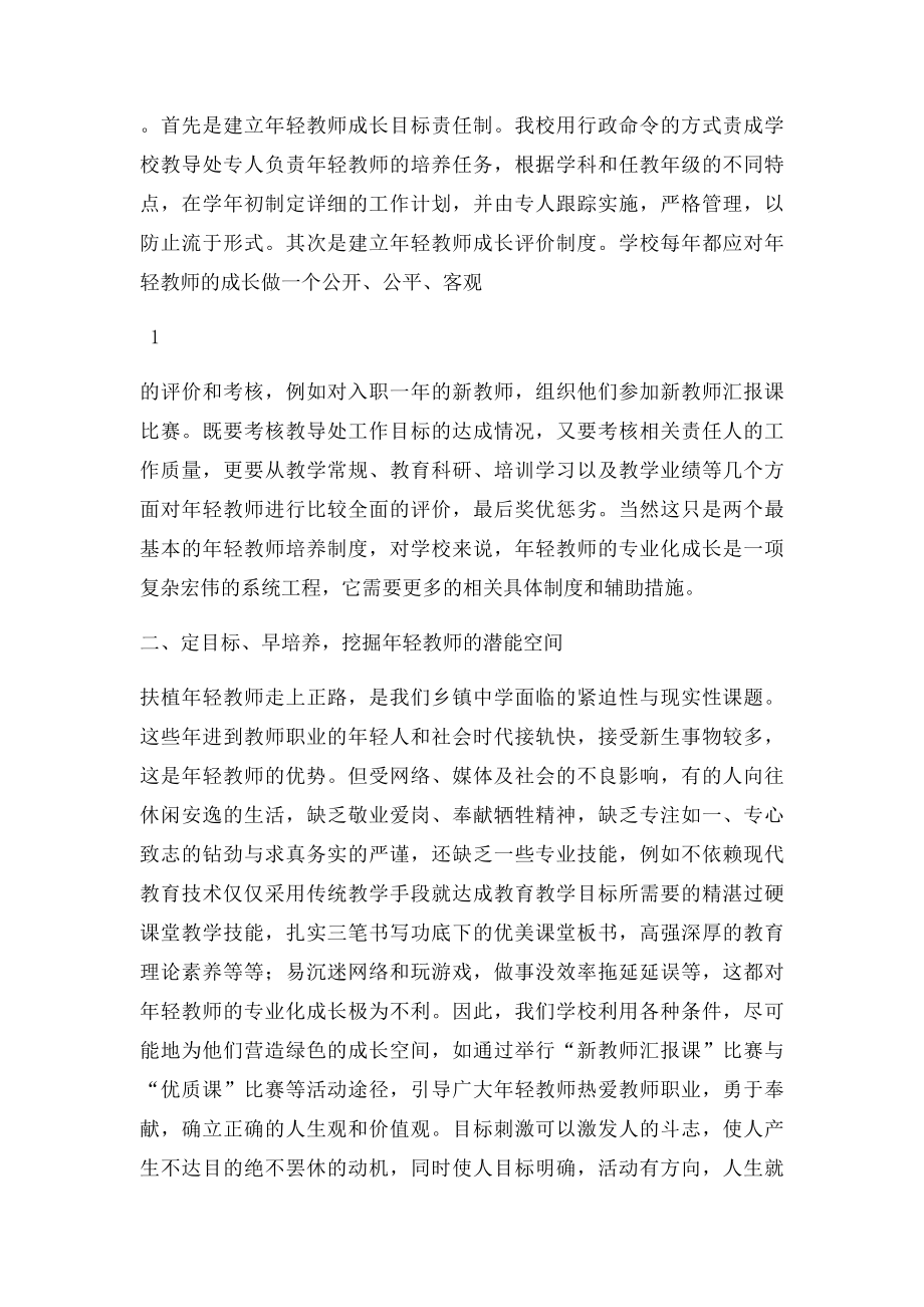 学校培养年轻教师的成功经验总结.docx_第2页