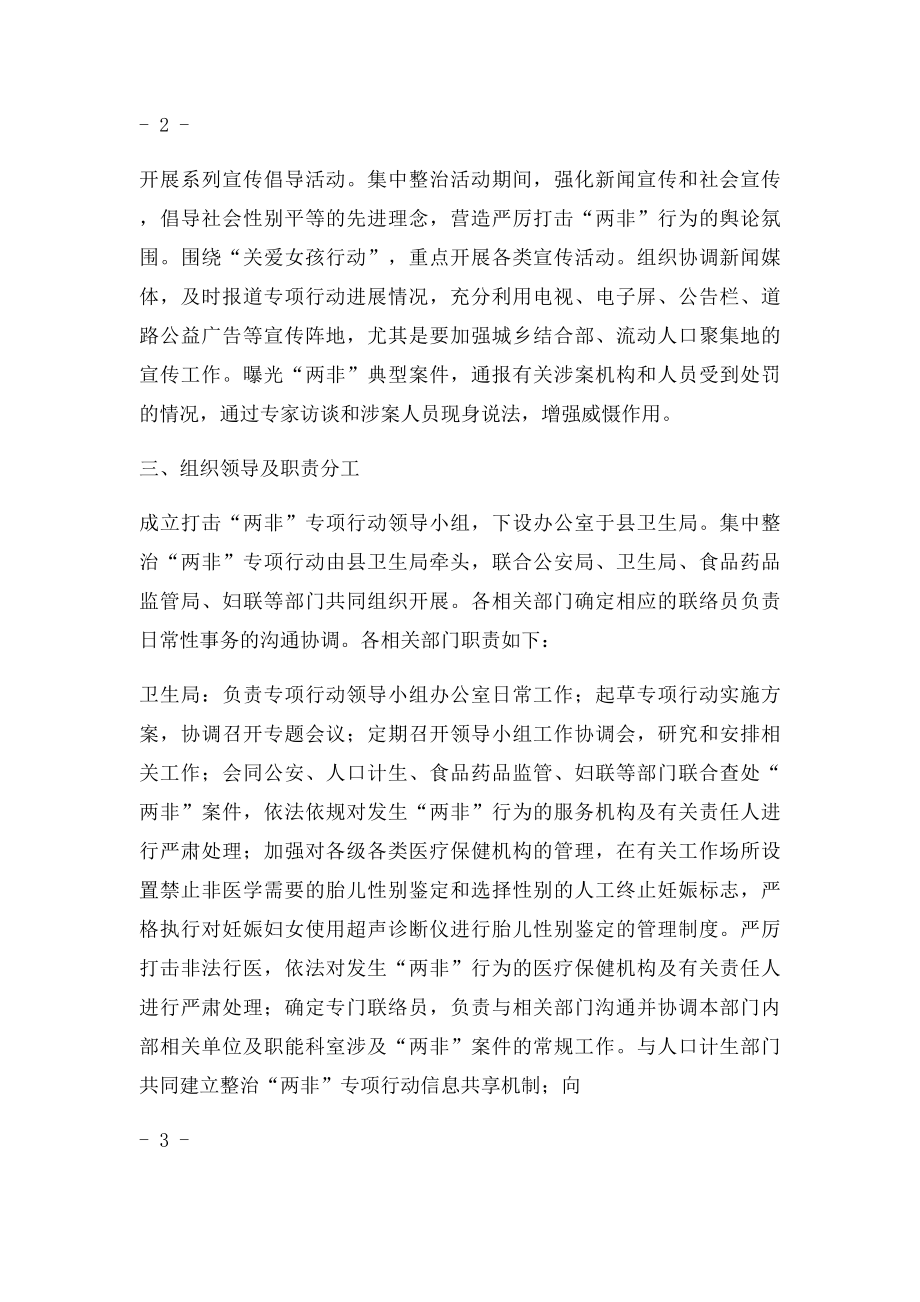 打击两非专项行动实施方案.docx_第3页