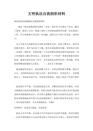 文明执法自我剖析材料.docx