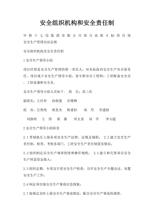 安全组织机构和安全责任制.docx