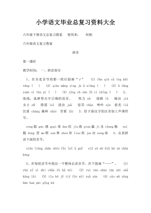 小学语文毕业总复习资料大全.docx