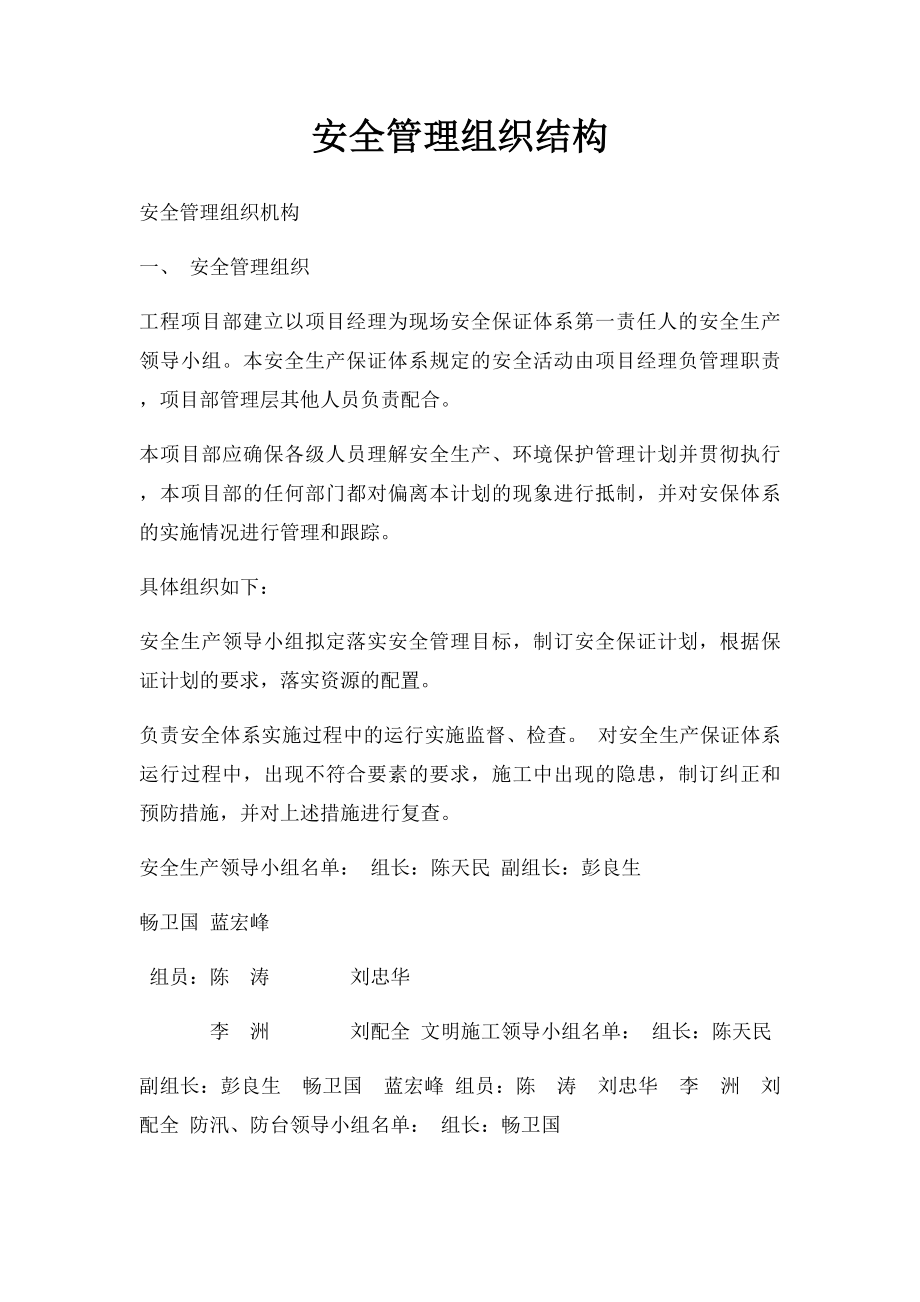 安全管理组织结构.docx_第1页