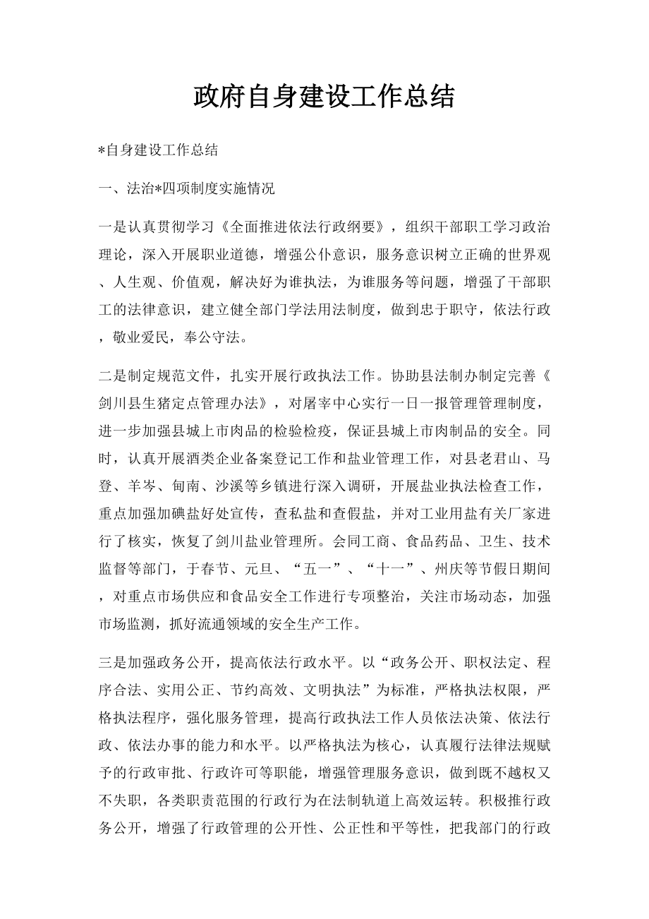 政府自身建设工作总结.docx_第1页