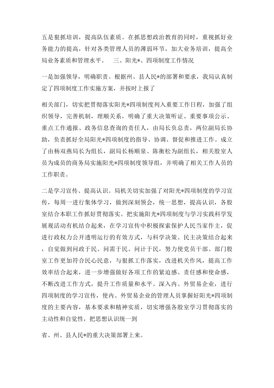 政府自身建设工作总结.docx_第3页