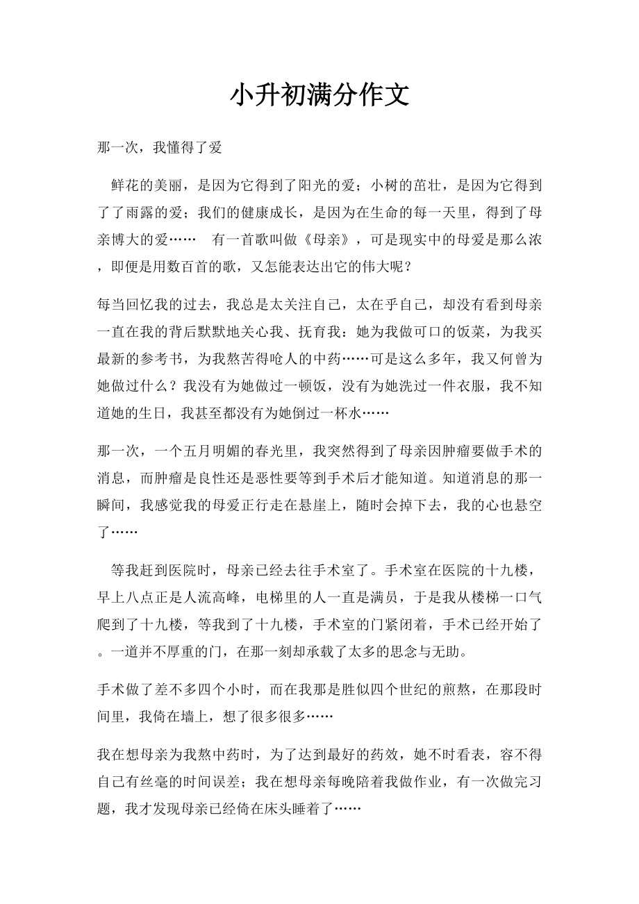 小升初满分作文.docx_第1页