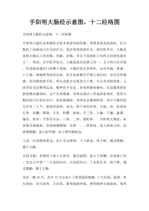 手阳明大肠经示意图十二经络图.docx