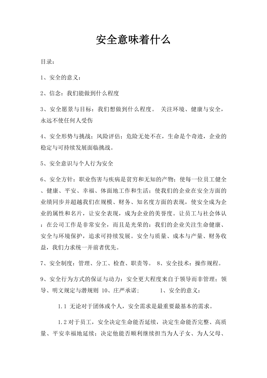 安全意味着什么.docx_第1页