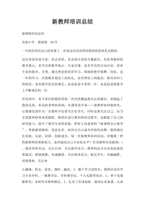 新教师培训总结(1).docx