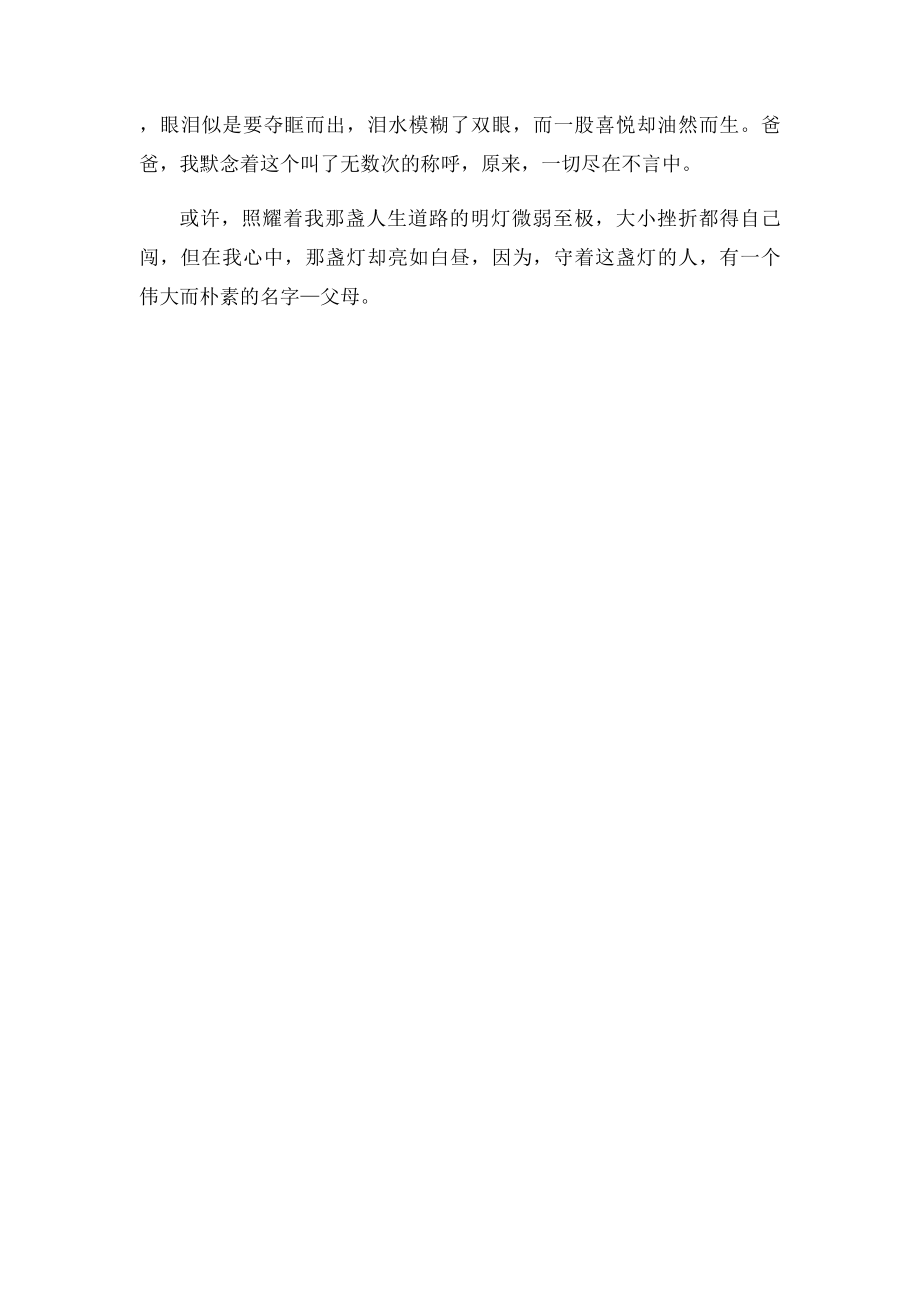 我心中的一盏灯.docx_第2页