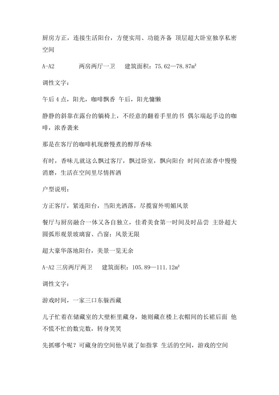 户型说明带调性文字.docx_第2页