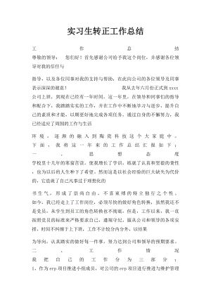 实习生转正工作总结.docx