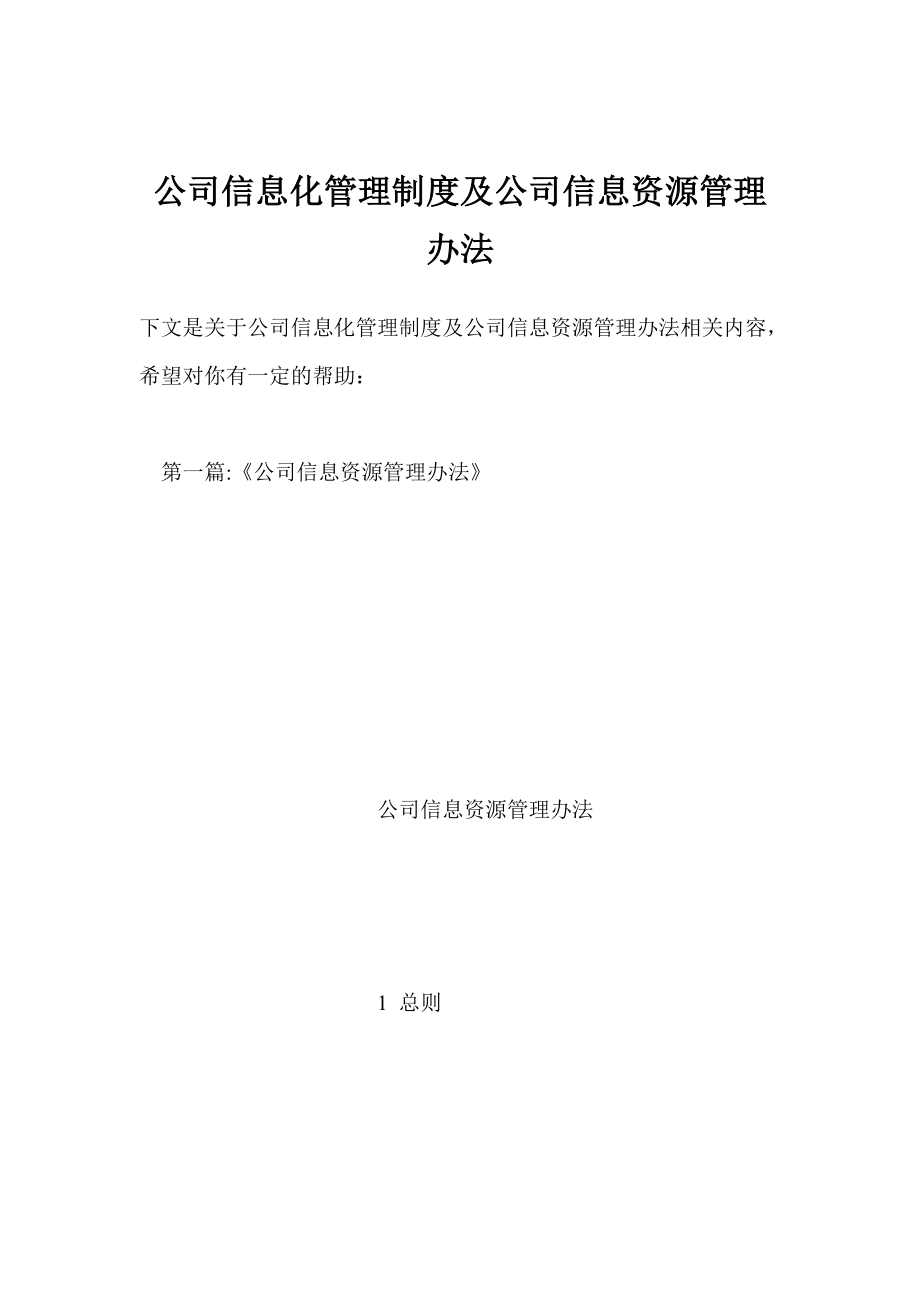 公司信息化管理制度及公司信息资源管理办法.doc_第1页