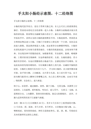 手太阳小肠经示意图十二经络图.docx