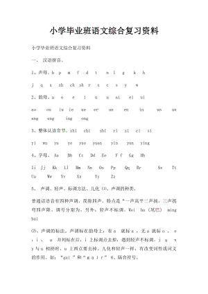 小学毕业班语文综合复习资料.docx