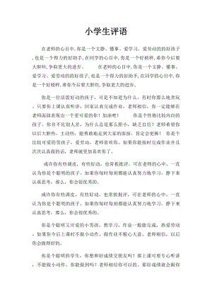 小学生评语(3).docx