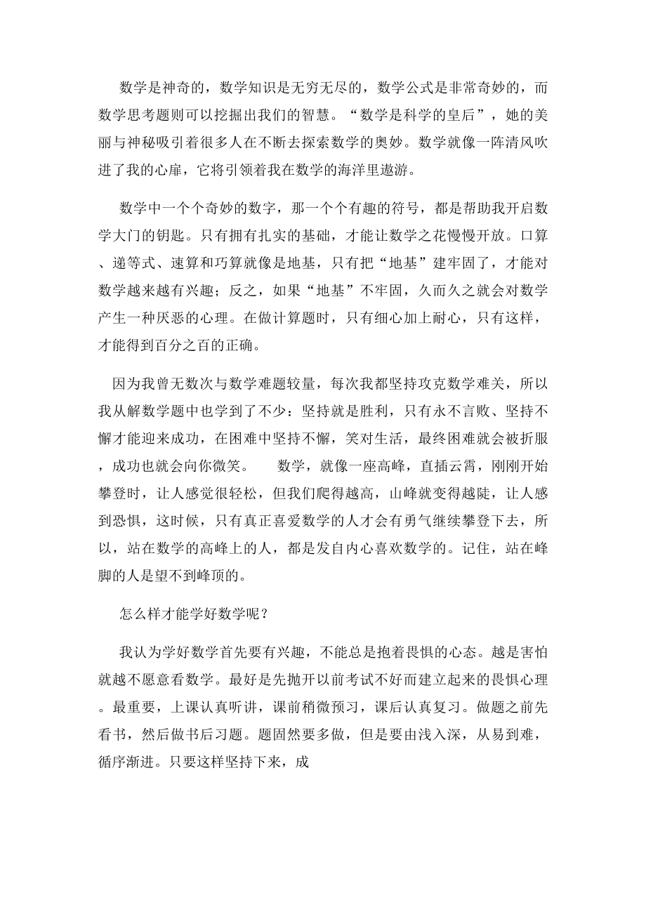 对数学的感想.docx_第2页