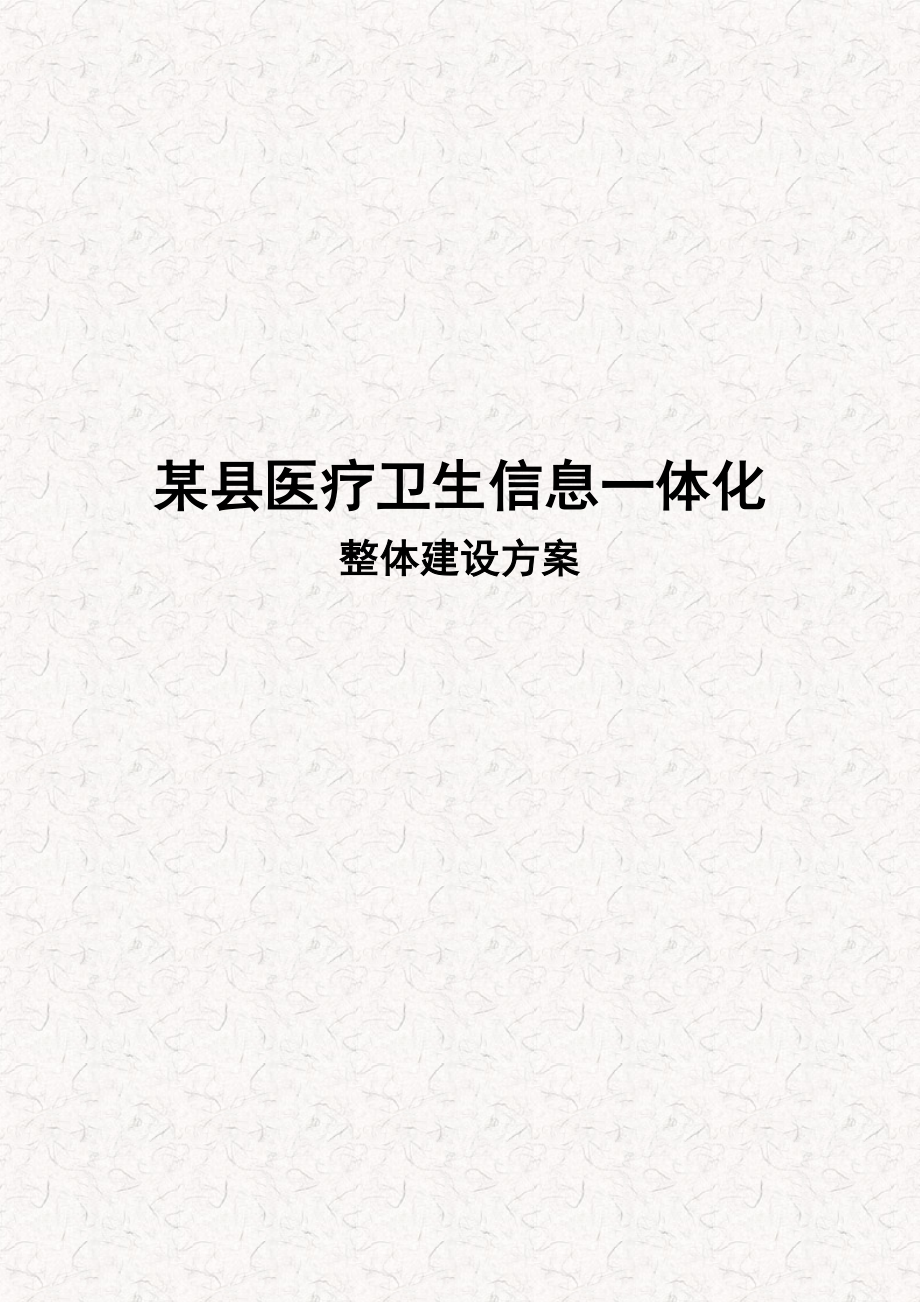 某县医疗卫生体系信息化建设 信息化一体化综合建设项目计划书（完整版）.doc_第1页