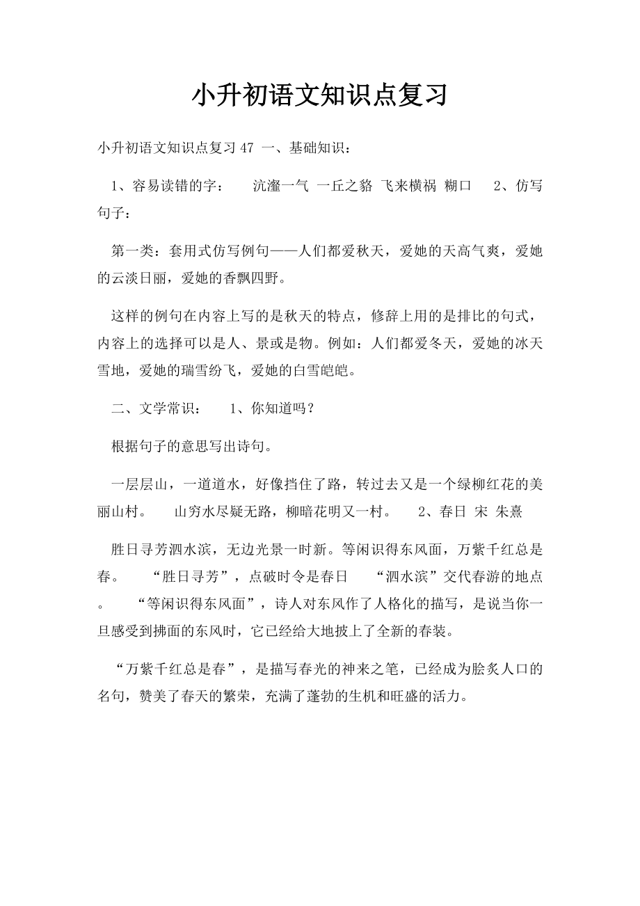 小升初语文知识点复习.docx_第1页