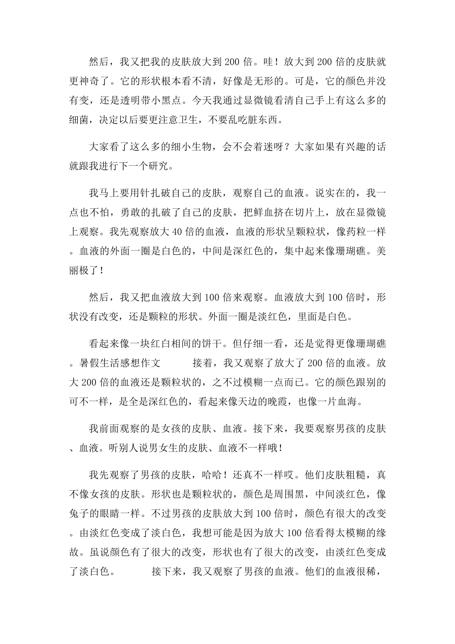 暑假感想作文450字.docx_第3页