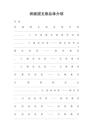 班级团支部总体介绍.docx