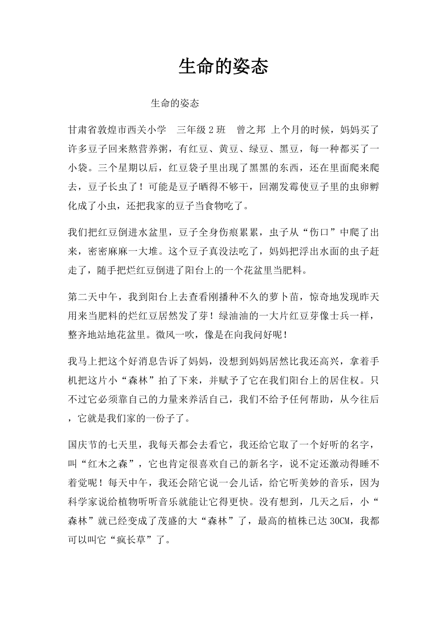 生命的姿态.docx_第1页