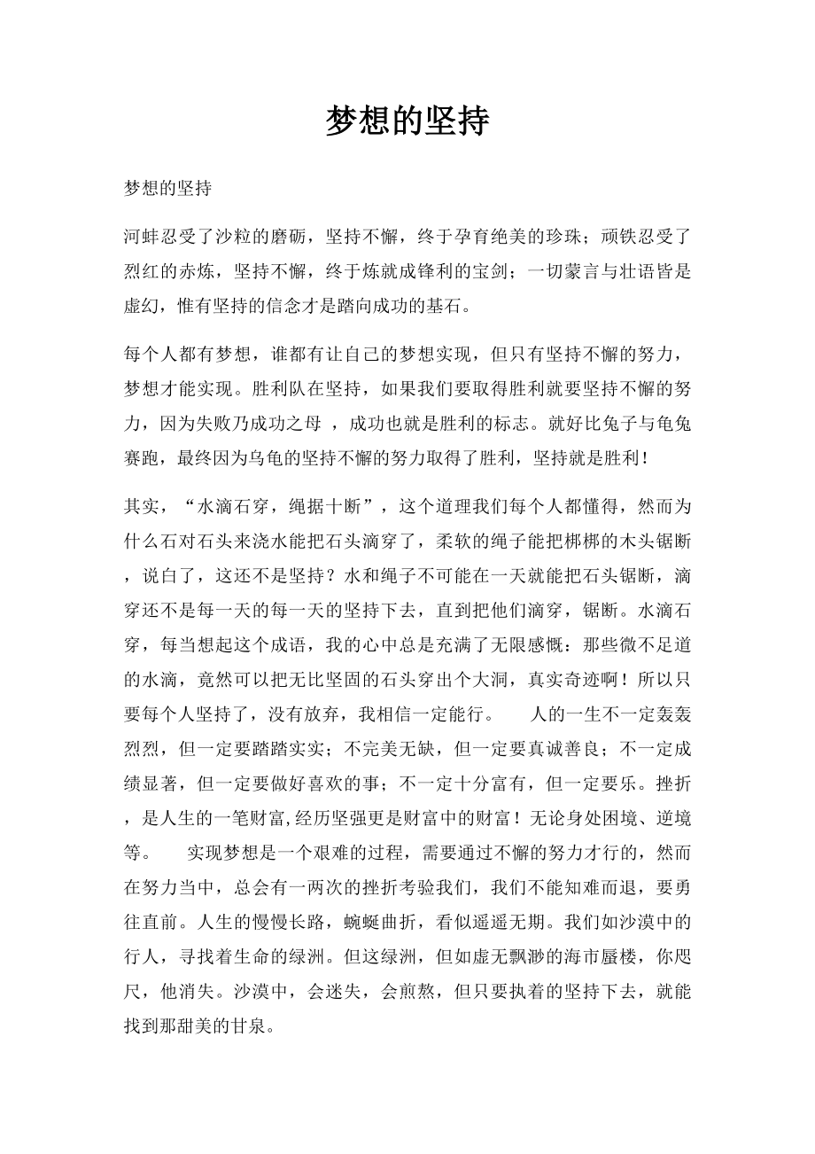 梦想的坚持.docx_第1页