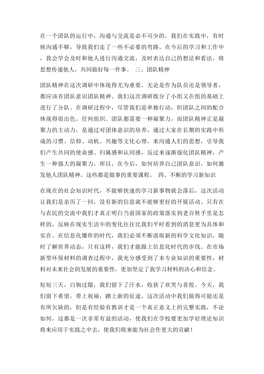 暑期三下乡心得体会(2).docx_第2页